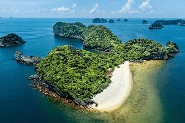 Hạ tầng mở lối, du lịch bùng nổ: Căn hộ lưu trú Cát Bà lên ngôi 