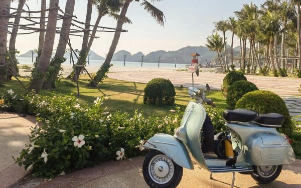 Mùa đông Cát Bà – Vẻ đẹp trầm lắng giữa núi rừng và biển xanh