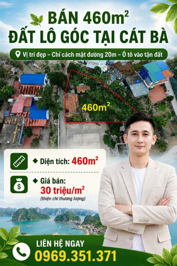 460m² lô góc Cát Bà